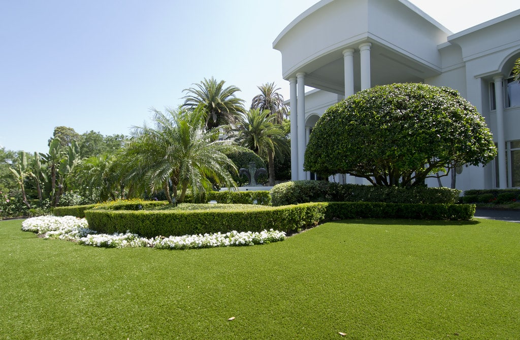 ForeverLawn image 19