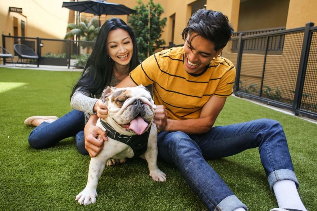 ForeverLawn image 25