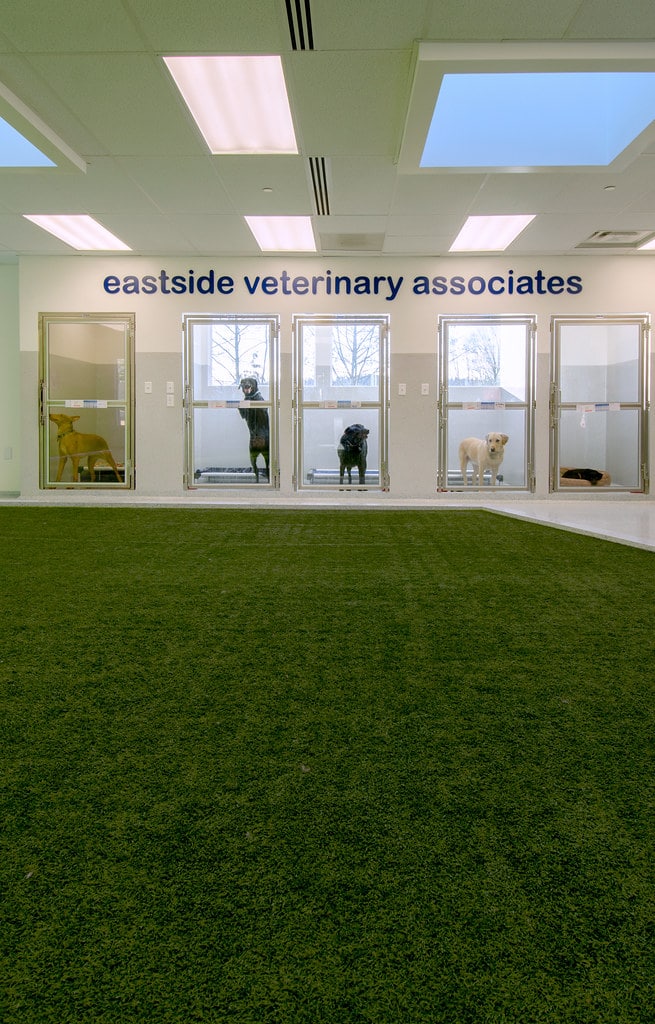 ForeverLawn image 3