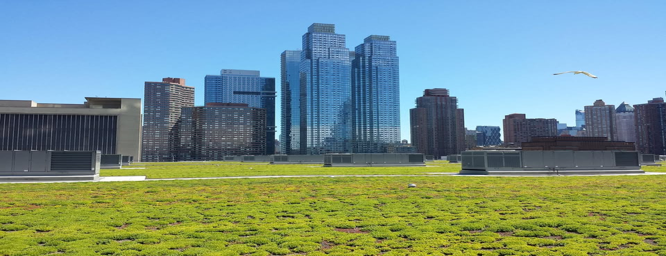 Chatfield Green Roofing
