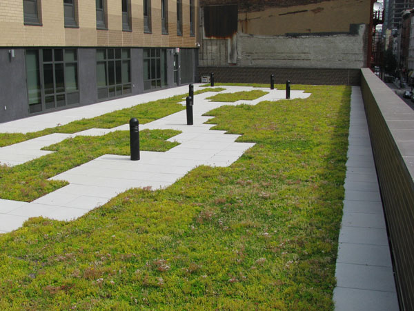 Chatfield Green Roofing image 3