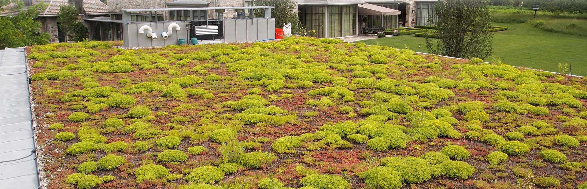 Chatfield Green Roofing image 5