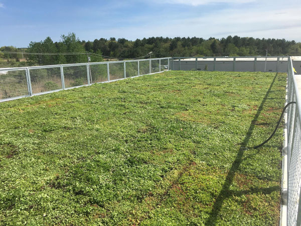 Chatfield Green Roofing image 11