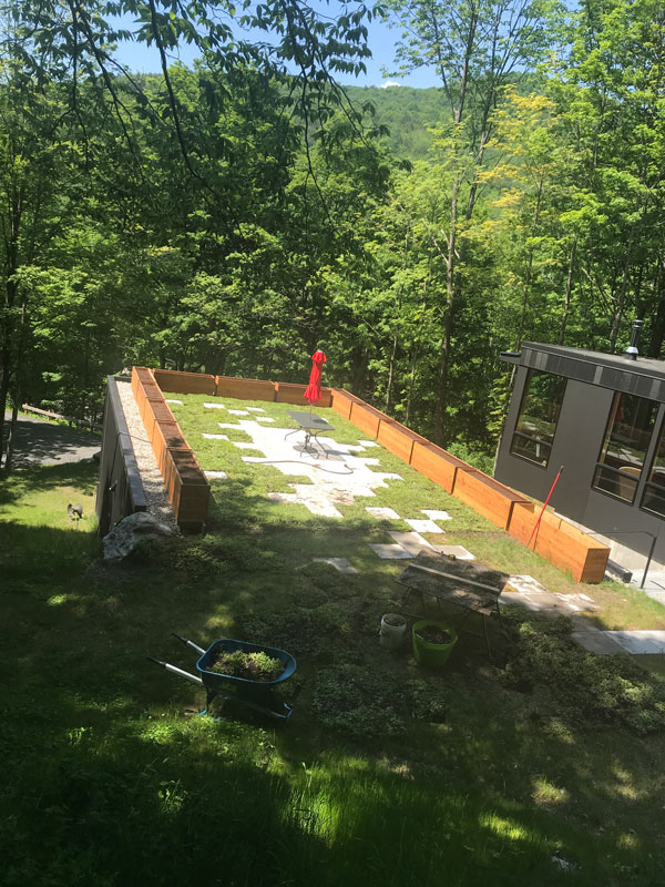 Chatfield Green Roofing image 7