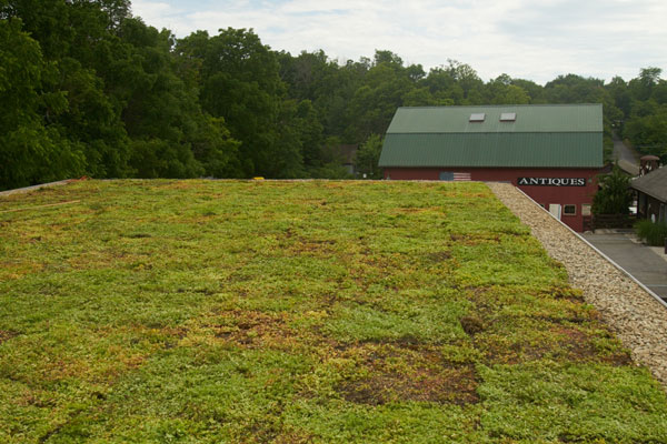 Chatfield Green Roofing image 8