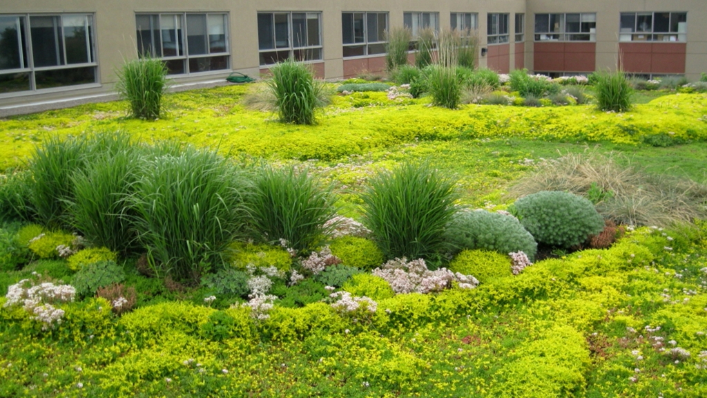 Chatfield Green Roofing image 6