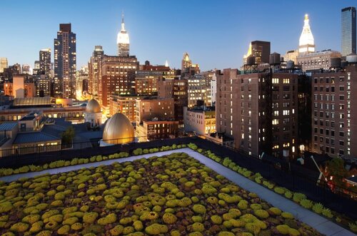 Chatfield Green Roofing image 2