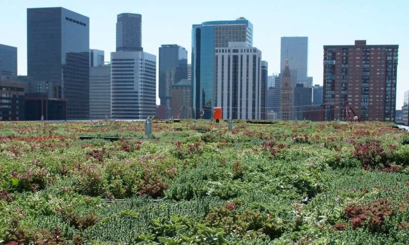 Chatfield Green Roofing image 4