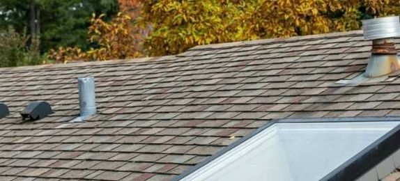 Naturalite Skylights image 8