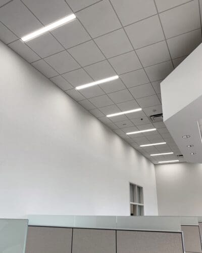 Eralux image 11