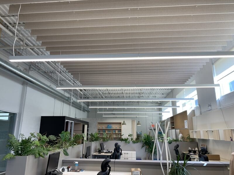 Eralux image 5