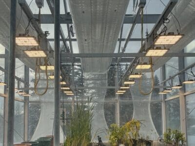 Eralux image 1