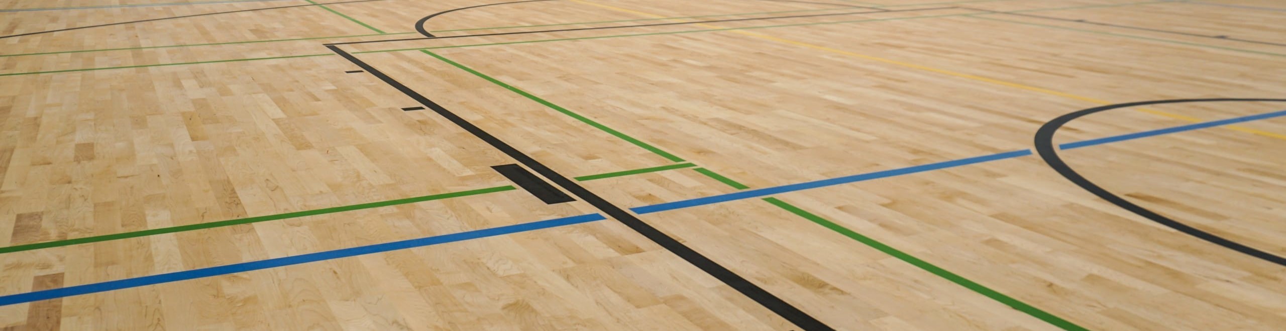 Haro Sports image 2