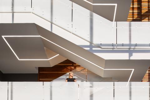 Finelite image 31