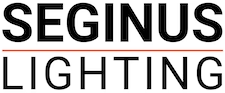 Seginus logo