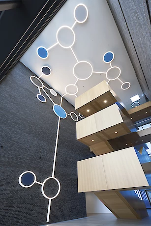 Lightnet image 43
