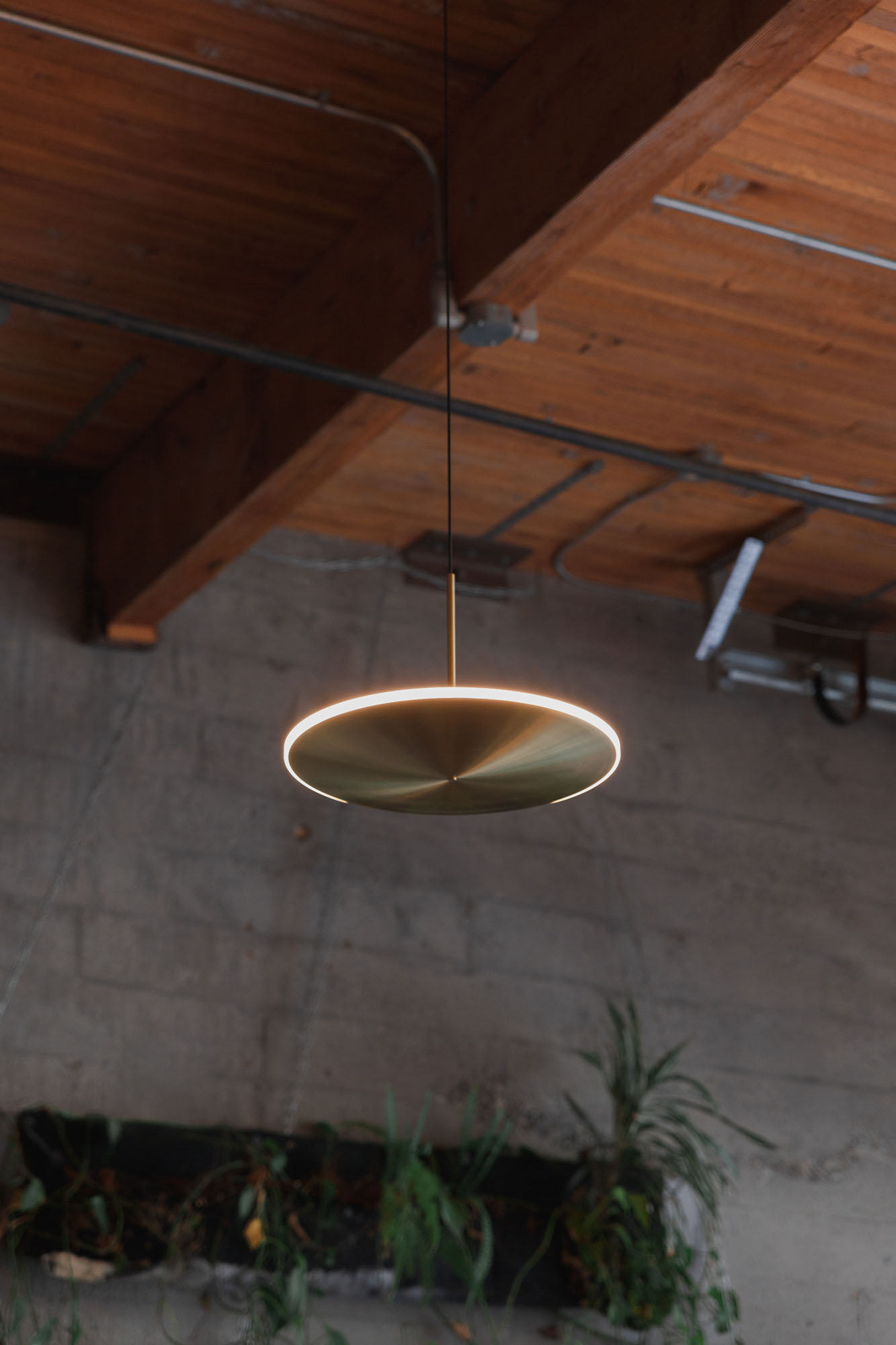 Graypants Lighting image 2