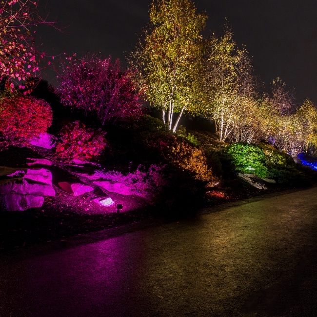 WAC Lighting image 6
