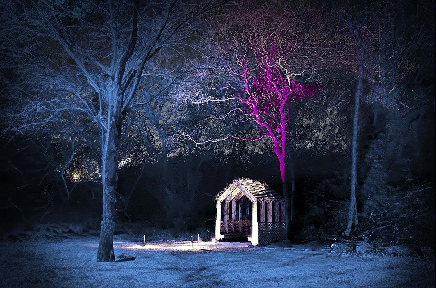 WAC Lighting image 8