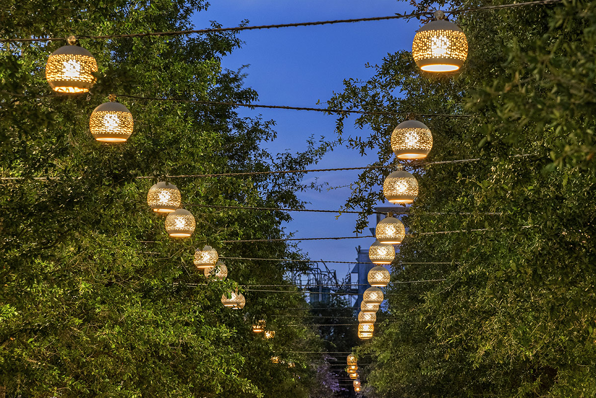 ANP Lighting  image 4