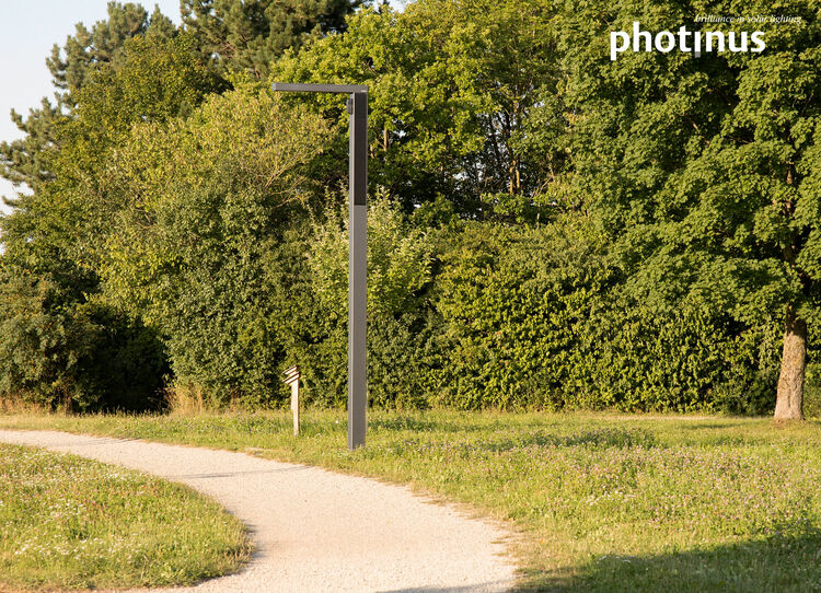 Photonius image 14