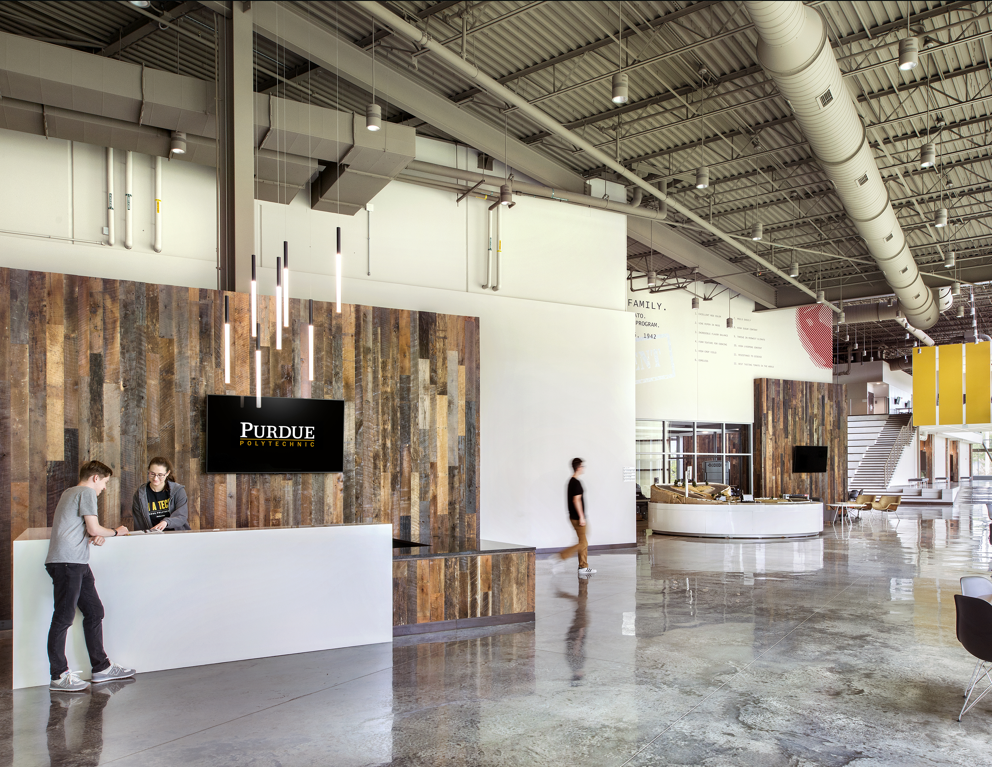 OCL Lighting image 3