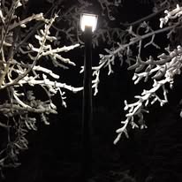 Nova Pole image 5