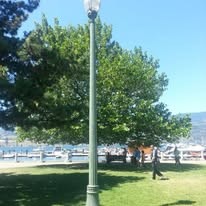 Nova Pole image 2