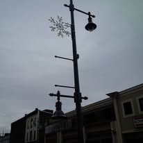 Nova Pole image 13