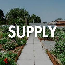 Supply