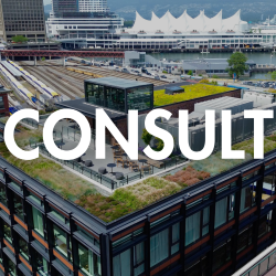Consult
