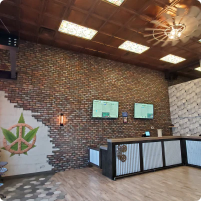 Wall Theory image 8