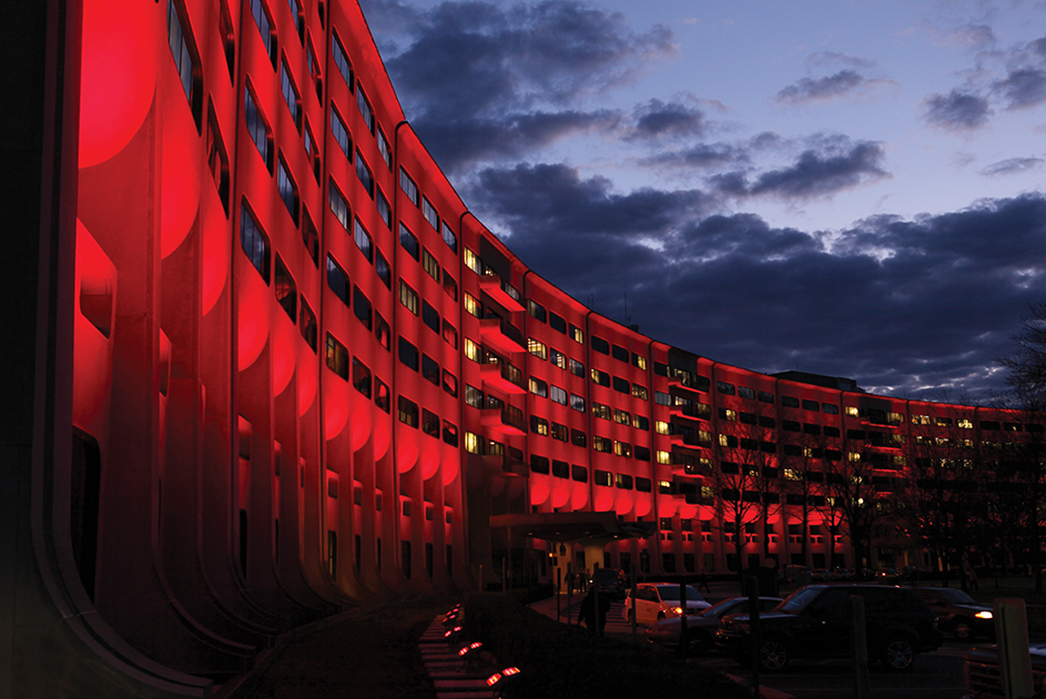 iluminarc image 3