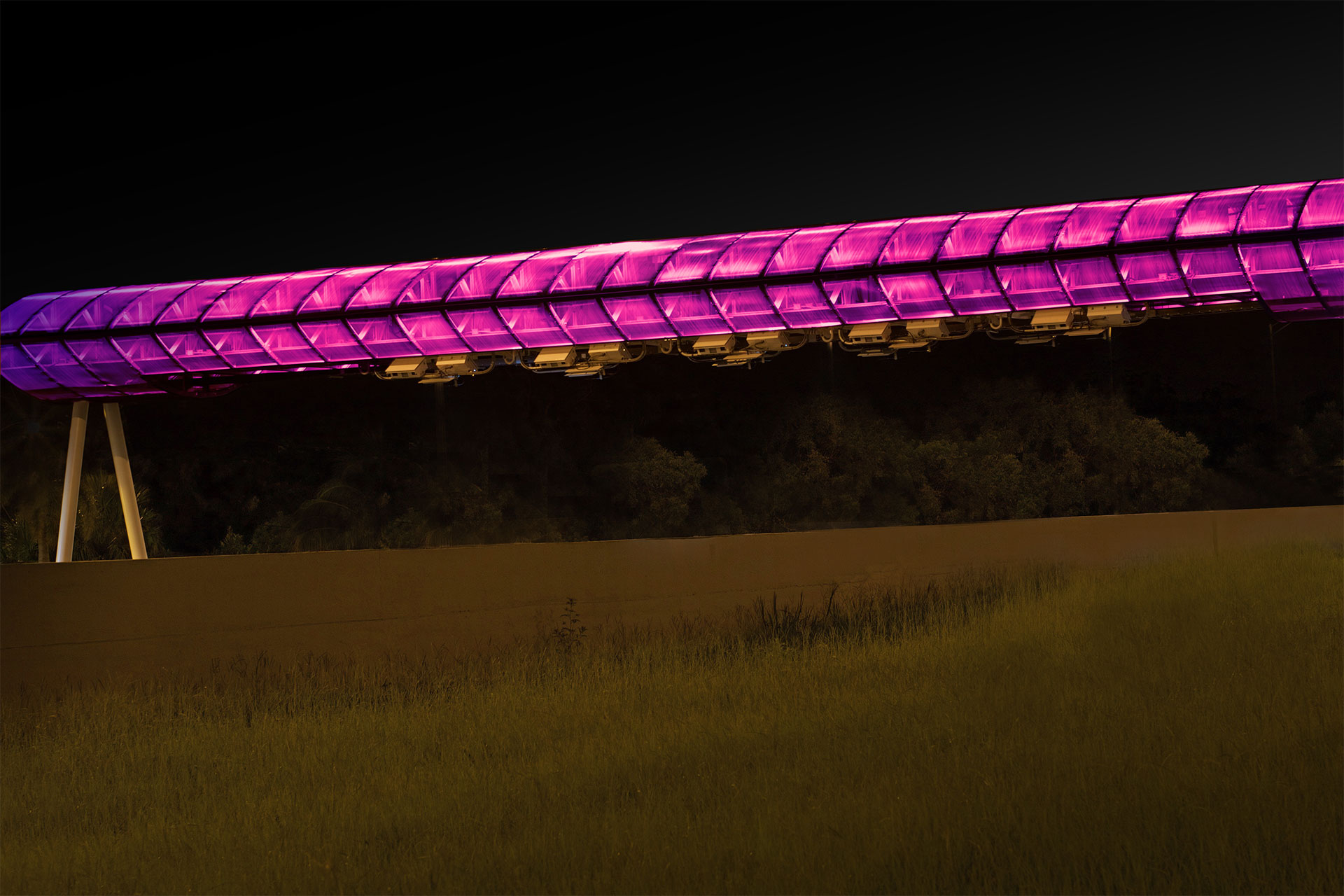 iluminarc image 12