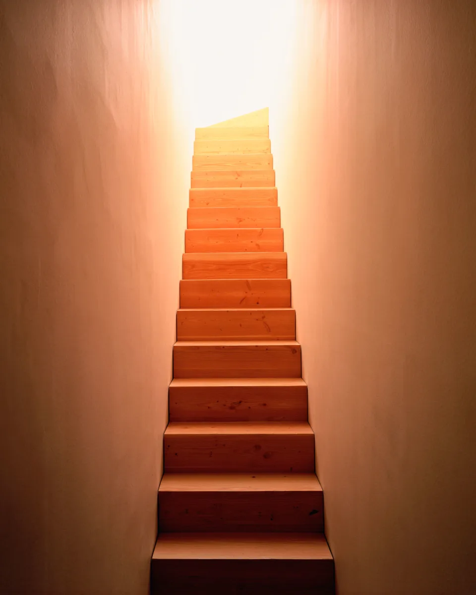 Dinesen image 4