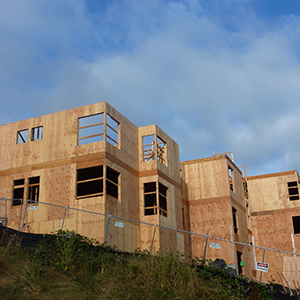 Apa Wood image 14