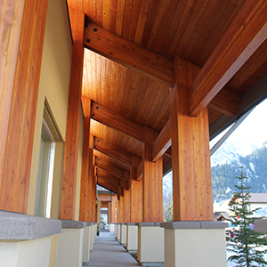 Apa Wood image 2