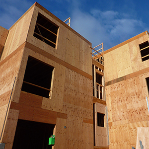 Apa Wood image 12