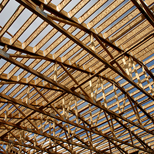 Apa Wood image 7