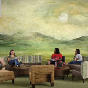 Level Wall Coverings image 16