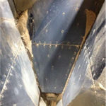 Argonics image 4