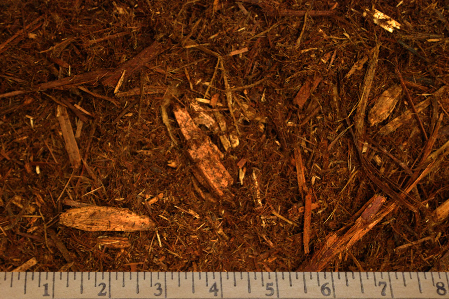 Sierra Pacific Industries image 15