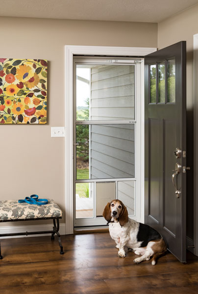 LARSON Doors image 13