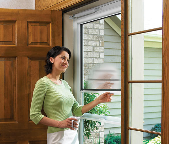 LARSON Doors image 1