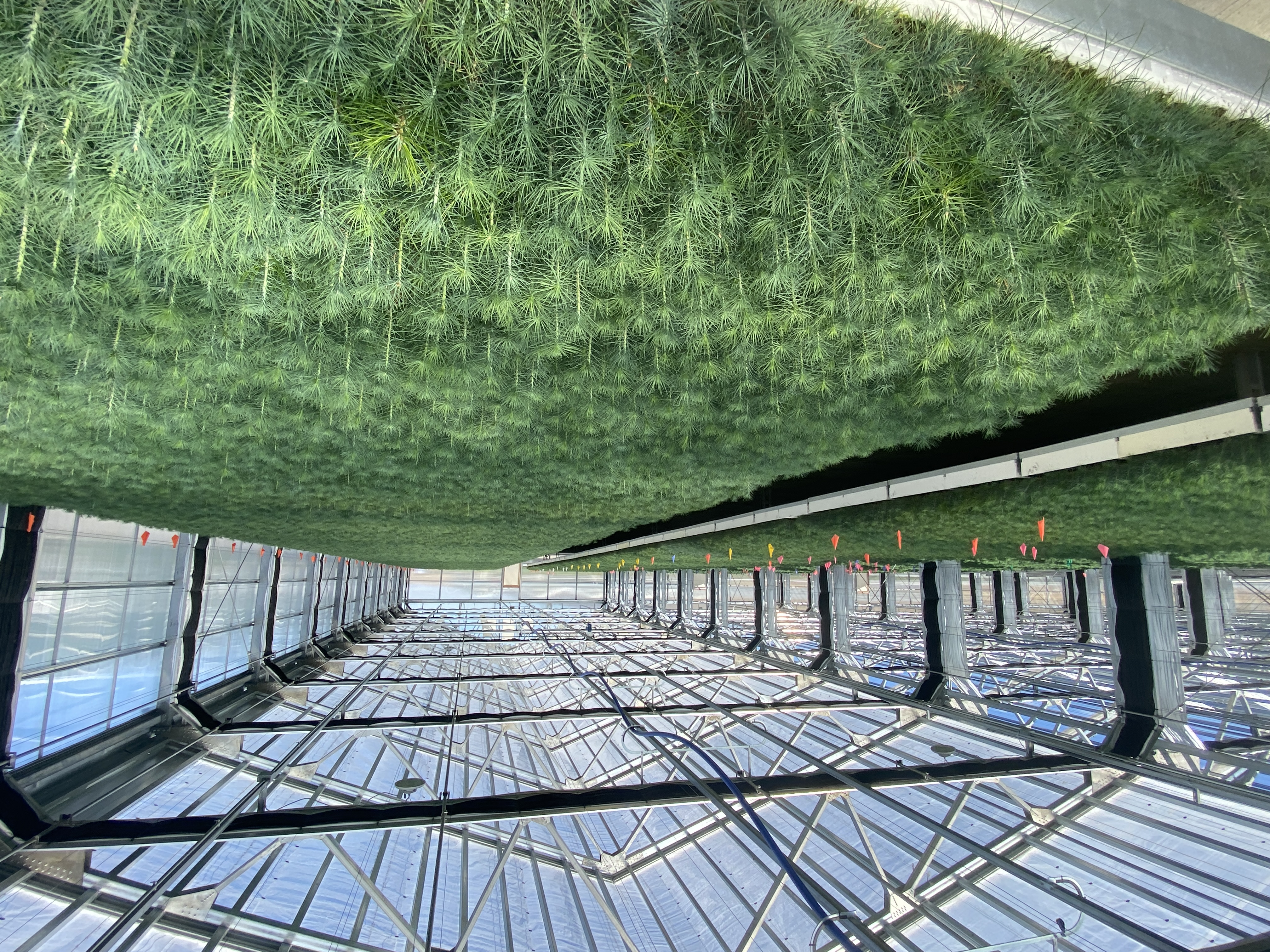 Sierra Pacific Industries image 2