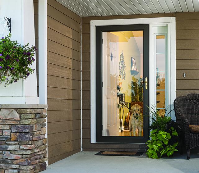LARSON Doors image 3