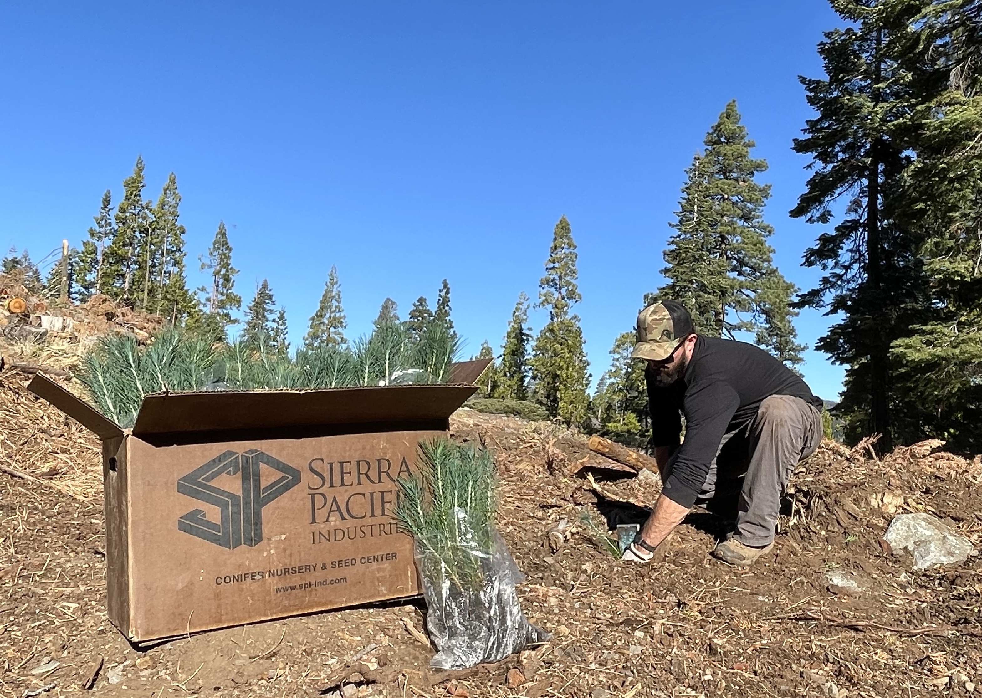 Sierra Pacific Industries image 4