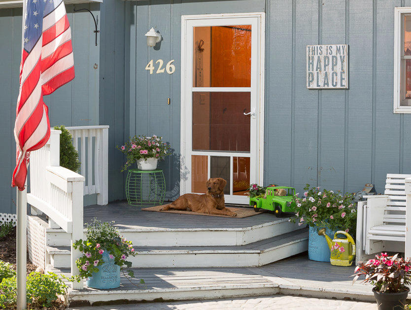 LARSON Doors image 7