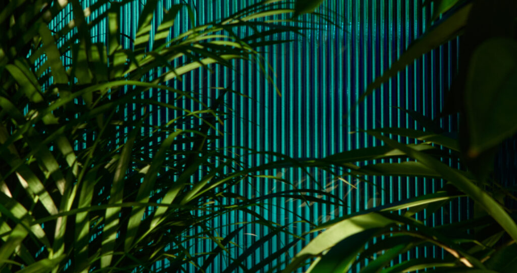 Effebiquattro image 11