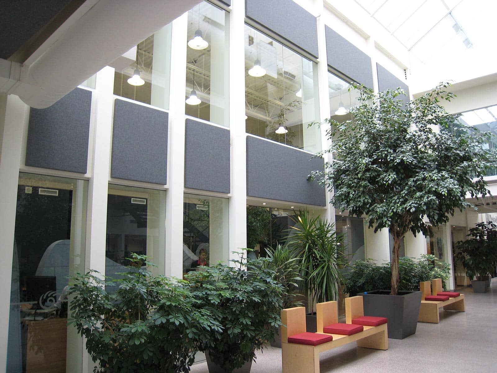 Corflex image 9